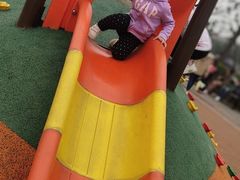 -枫香湖儿童公园