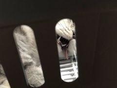 -荔康动物医院(康王北路店)