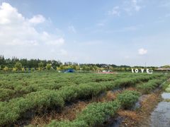 -嘉北郊野公园