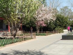 -丰台科技园生态主题公园
