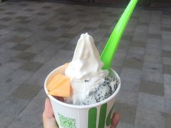 -Salud撒露欧洲冻酸奶(蓝色港湾店)