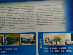 -上海海洋大学鱼文化博物馆(军工路校区)
