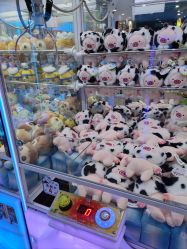 -万达宝贝王(长春红旗街店)