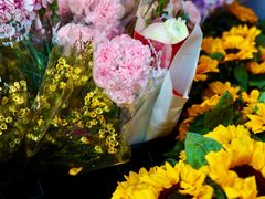 -越秀西湖花市(广州城市广场花卉店)