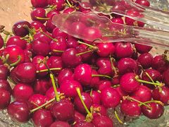 -涨巢·潮玩水疗局