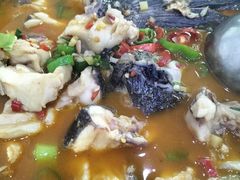 -全乐鱼馆·淳牌有机鱼直营店