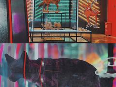 -凯德广场(武胜路店)