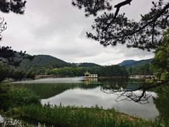-庐山风景区花径公园