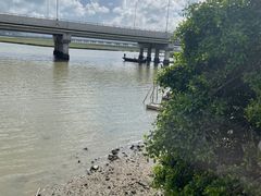-盐洲岛
