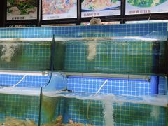 水产区-老东镇啤酒屋海鲜加工·蒸汽海鲜·海鲜烧烤(台东店)