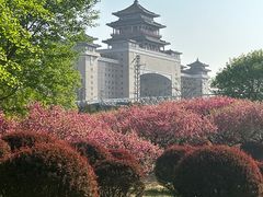 -莲花池公园