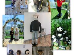 -济州岛泰迪熊博物馆