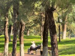 -汉长安城未央宫国家考古遗址公园