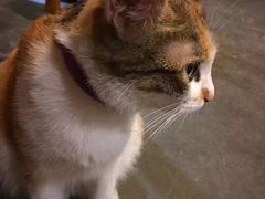 -看书吧(体育东横路店)