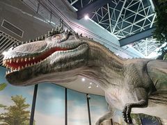 -湖南省地质博物馆