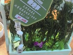 -塔兰齐新疆孜然火锅(鲤鱼山路店)