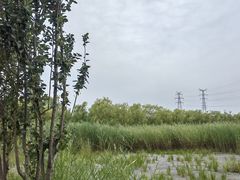 -永定河休闲森林公园