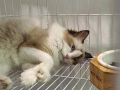 -iF摄影•全家福•证件照•形象照(南山店)