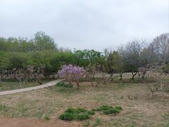 -石家庄市植物园