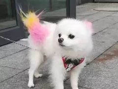 -洪利砂锅(国际佳苑店)