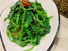农家丝瓜苗-火齐潮汕砂锅粥(五道口店)