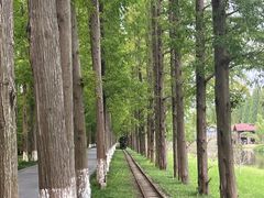 -黄海国家森林公园