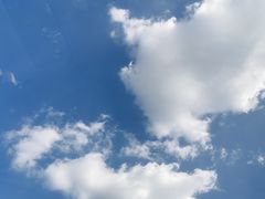 -采蝶轩(明珠商业广场店)