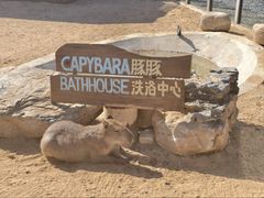 -茅山东方盐湖城景区