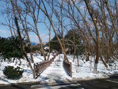 -紫霞湖公园