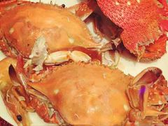 -视界美食自助餐厅·石家庄希尔顿酒店