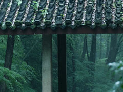 -虎跑公园