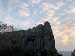 -太湖龙之梦