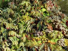 -北京植物园-展览温室