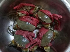 -品雅轩农家乐