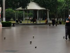 -万绿园
