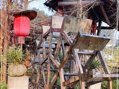 -青城甲(青城山店)