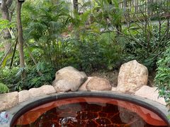 -美的鹭湖森林度假区