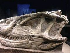 -自贡恐龙博物馆