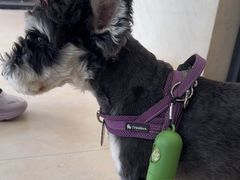 -艾贝尔宠物医院·狂犬免疫点(江山金象城店)