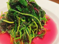 -常来小聚(丰汇时代店)