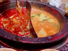 -蜀大侠火锅(森兰花园城店)