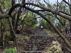 -桃花岭景区