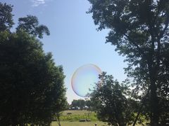 -滆湖低碳生态公园