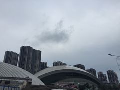 -嘉庚体育馆