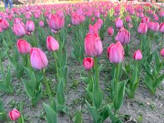 -长春公园(普阳街道)