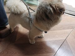 -铁炉咖啡(河下古镇店)
