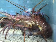 -宜宾海鲜酒家·三十年老字号