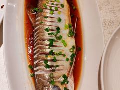 -金美华轩(东方路齐鲁店)