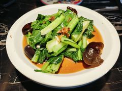 -新白鹿餐厅(虹桥南丰城店)