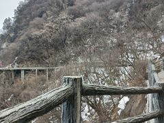 -少华山国家森林公园